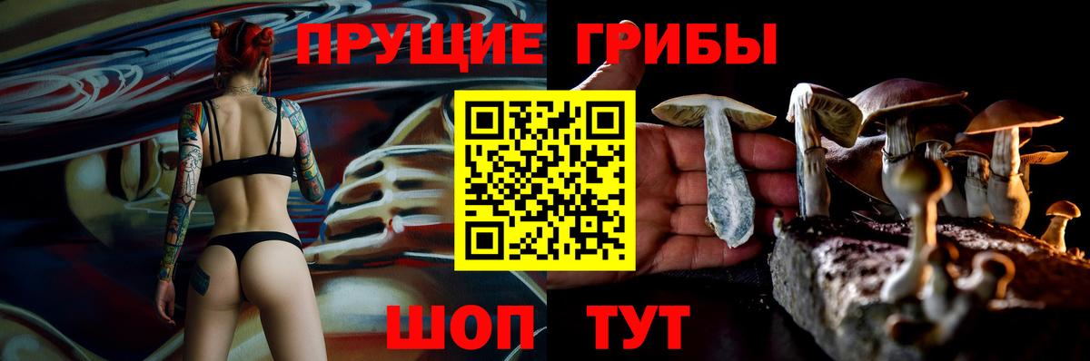 Псилоцибиновые грибы Psilocybe  Вход с VPN  Междуреченск 